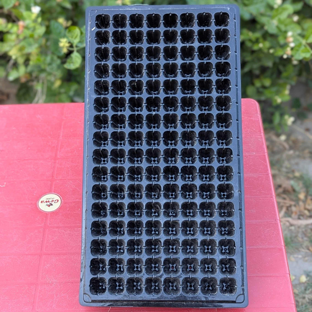 128 Holes Seedling Trays Set of 4 |