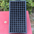 128 Holes Seedling Trays Set of 4 |