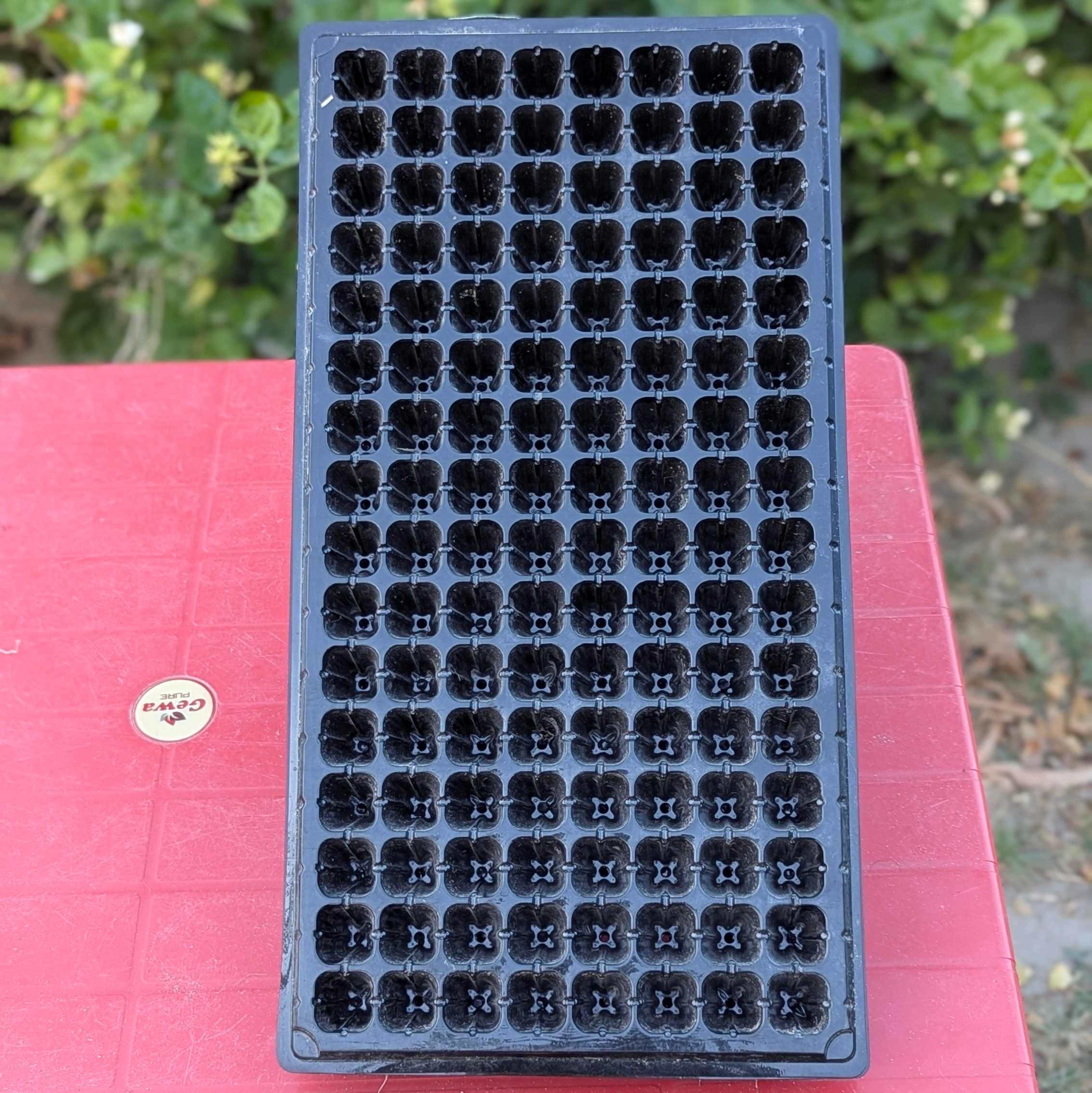 128 Holes Seedling Trays Set of 4 |