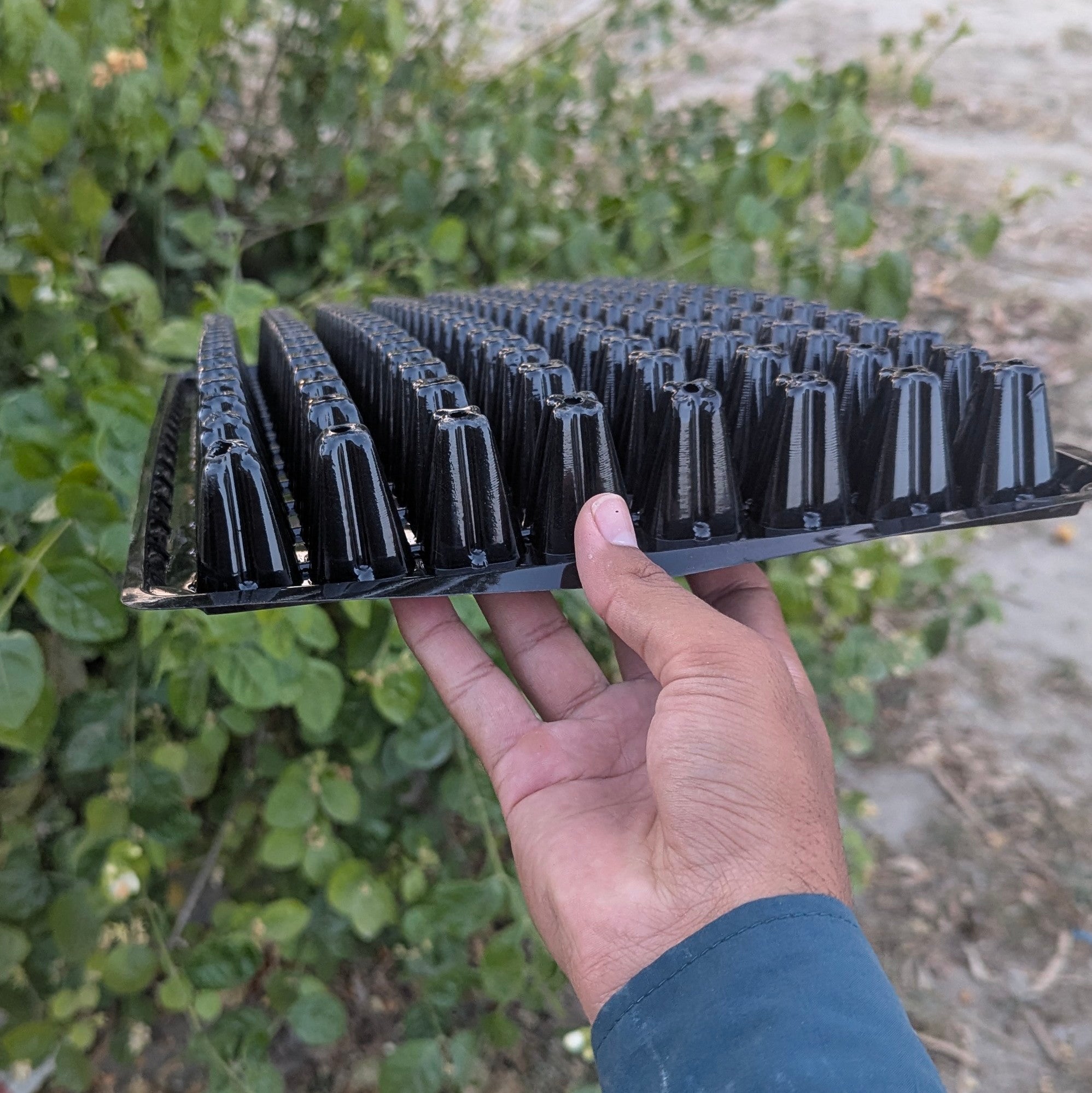 128 Holes Seedling Trays Set of 4 |
