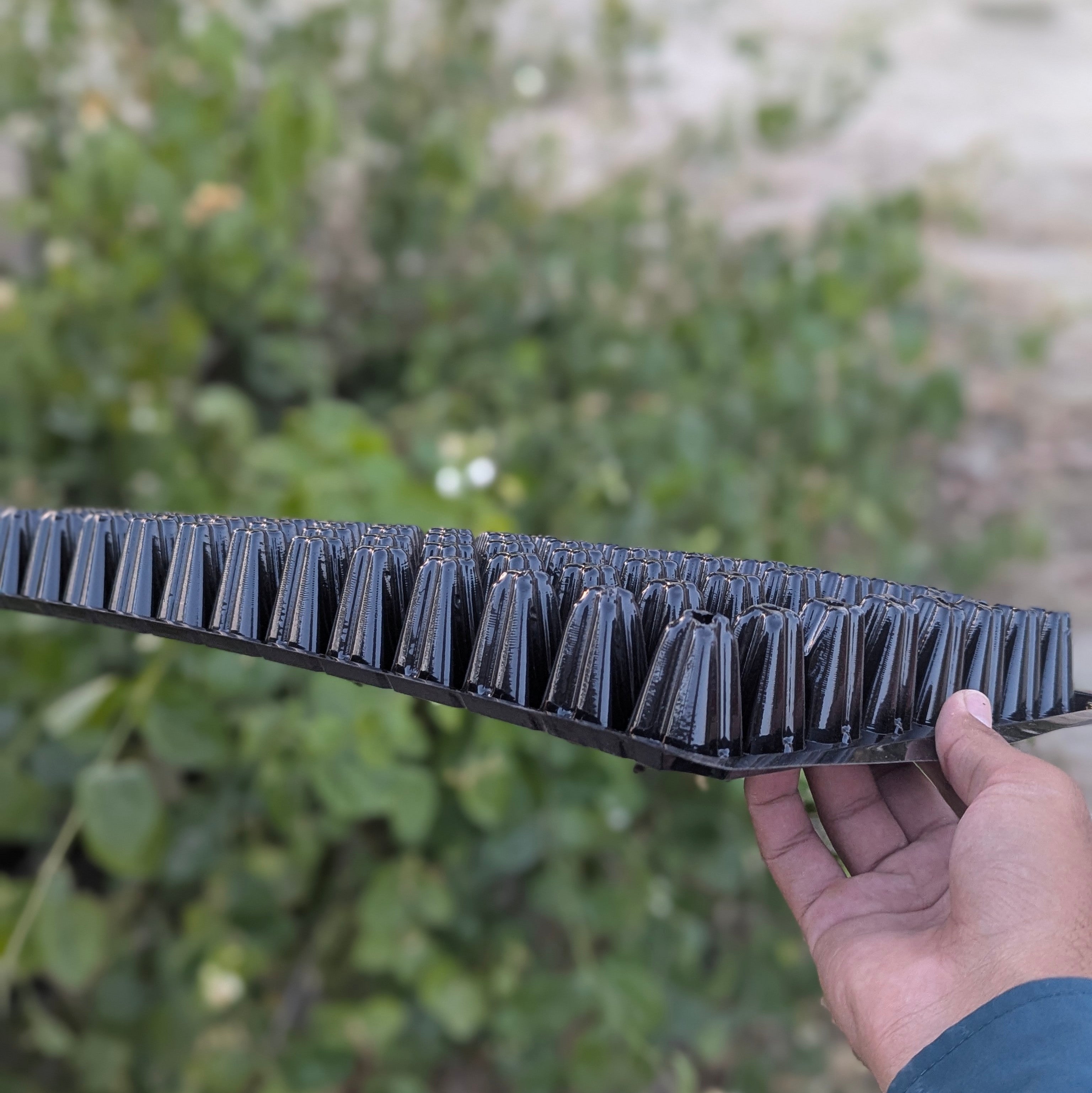 128 Holes Seedling Trays Set of 4 |