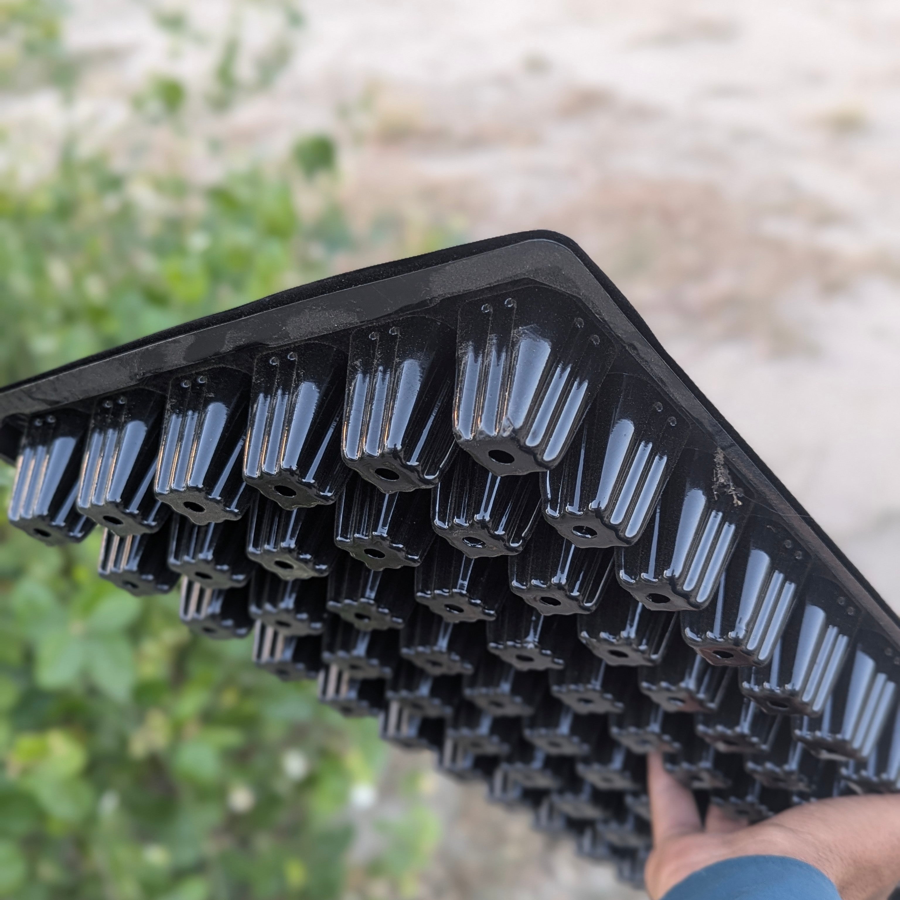 72 Holes Seedling Trays Set of 4