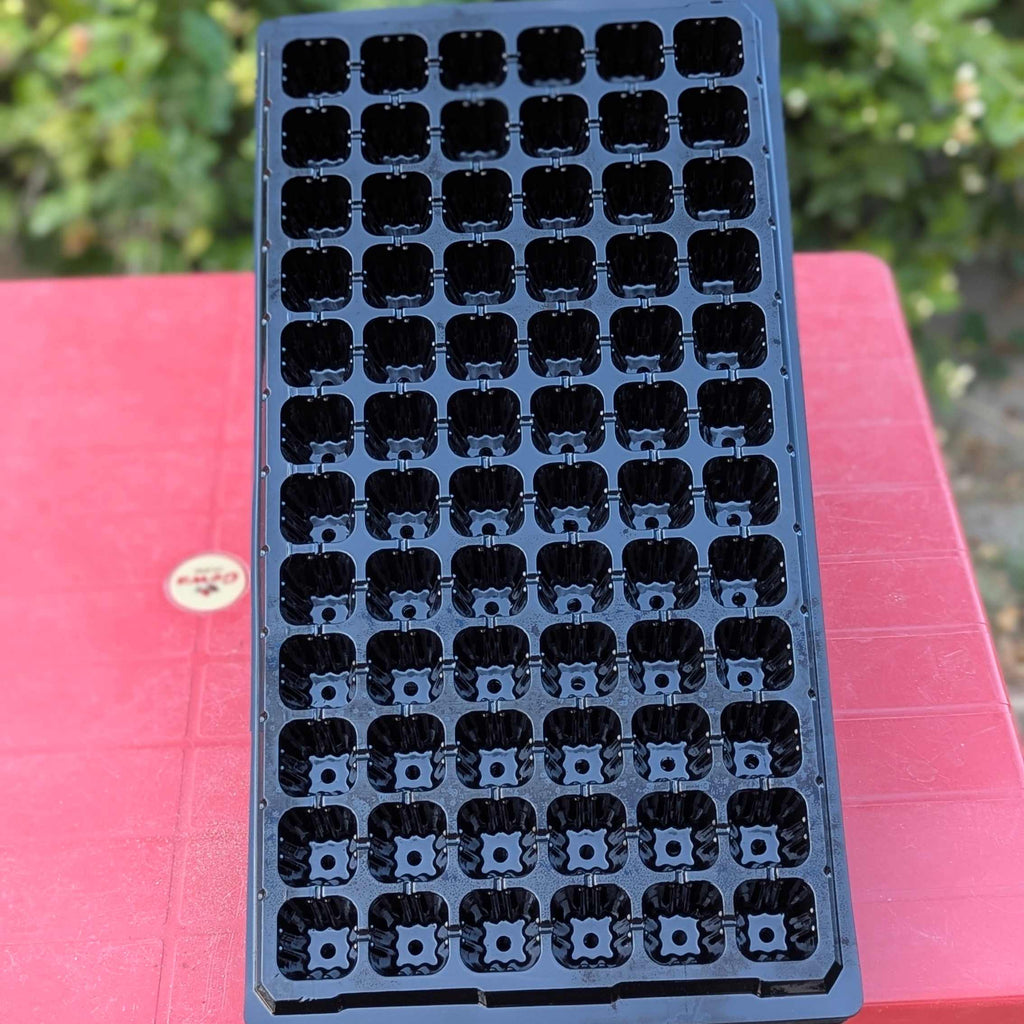 72 Holes Seedling Trays Set of 4