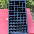 72 Holes Seedling Trays Set of 4