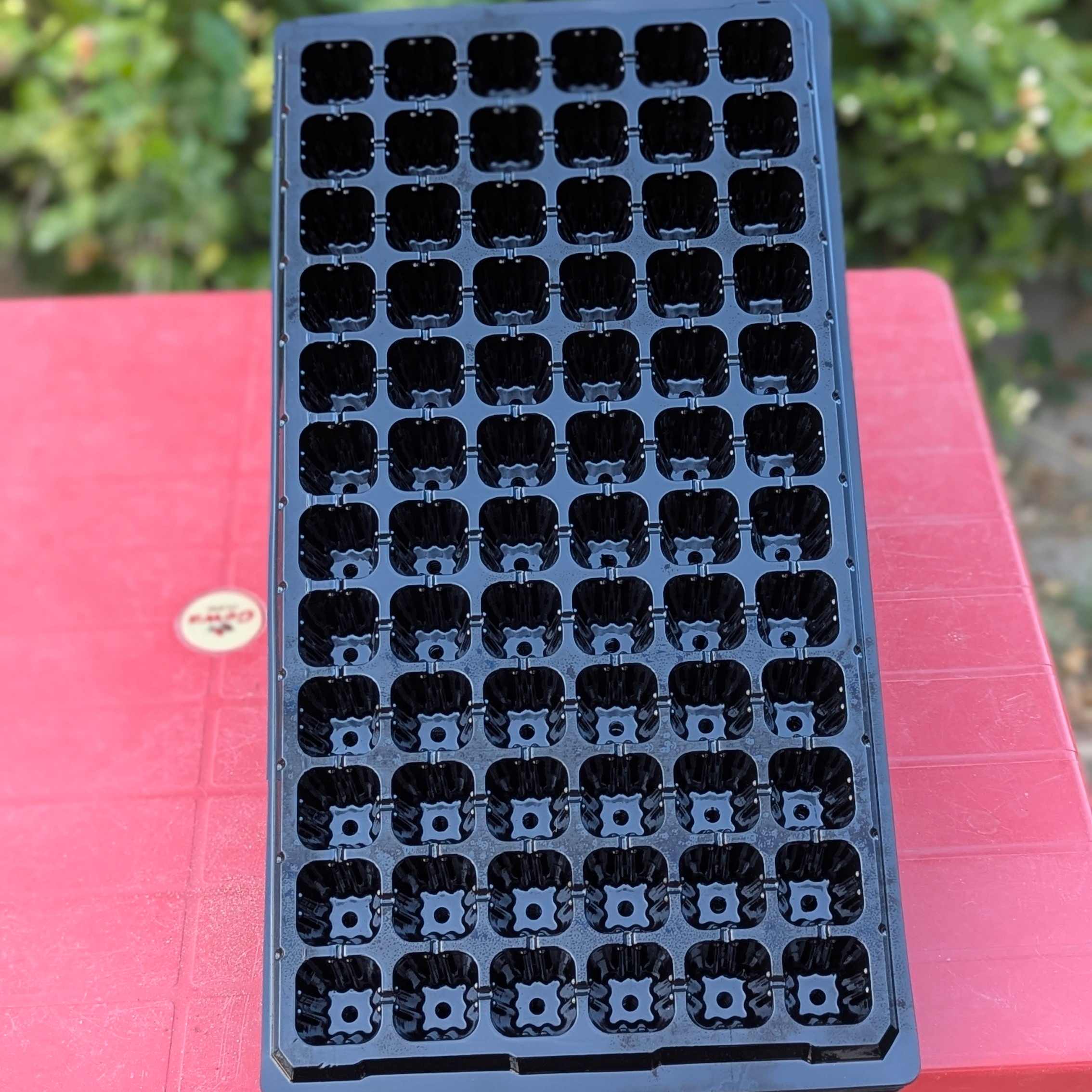 72 Holes Seedling Trays Set of 4