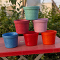 6 inch unbreakable Colorful pot's