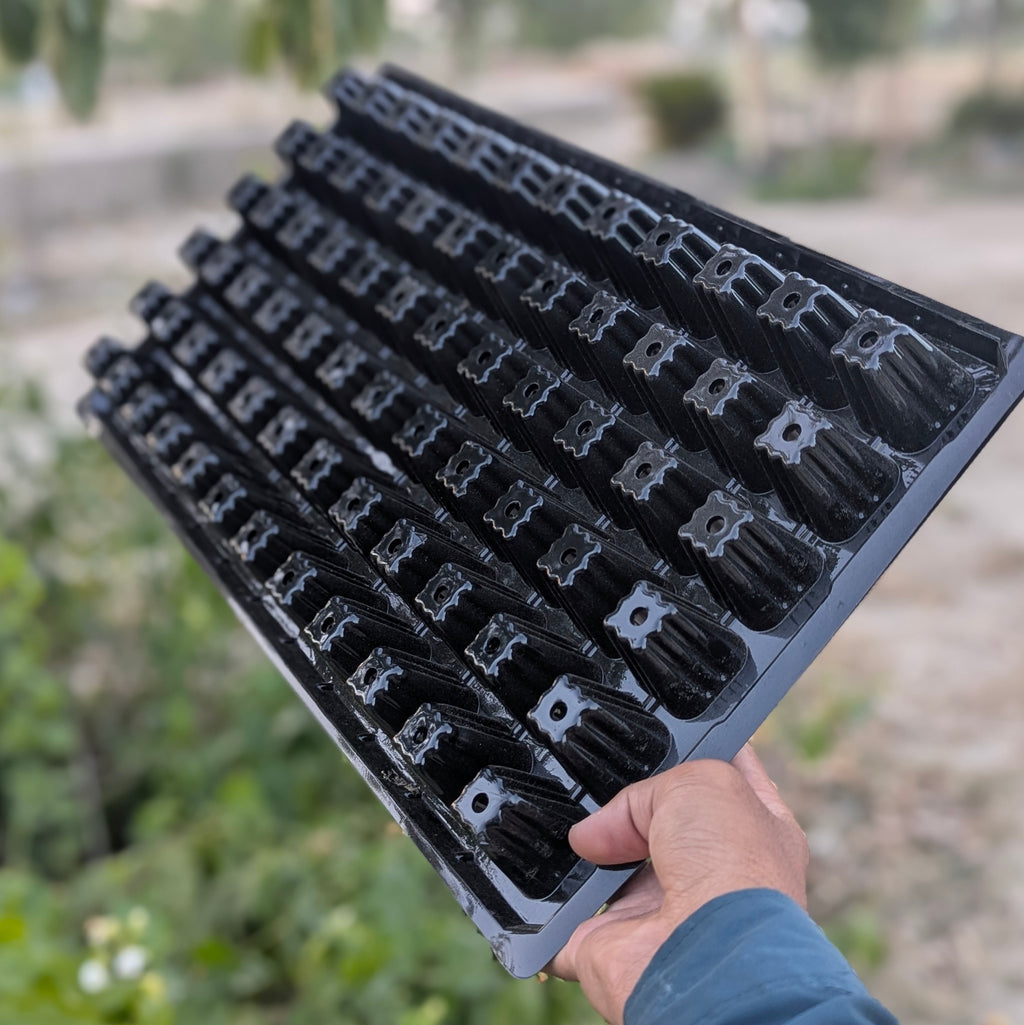 72 Holes Seedling Trays Set of 4