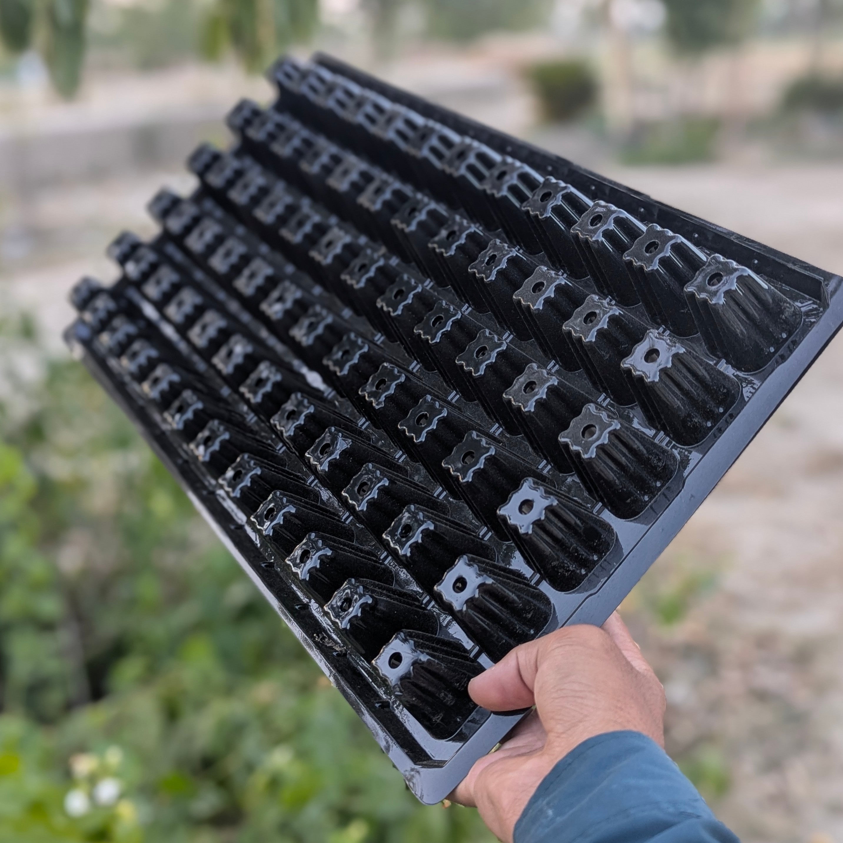 72 Holes Seedling Trays Set of 4