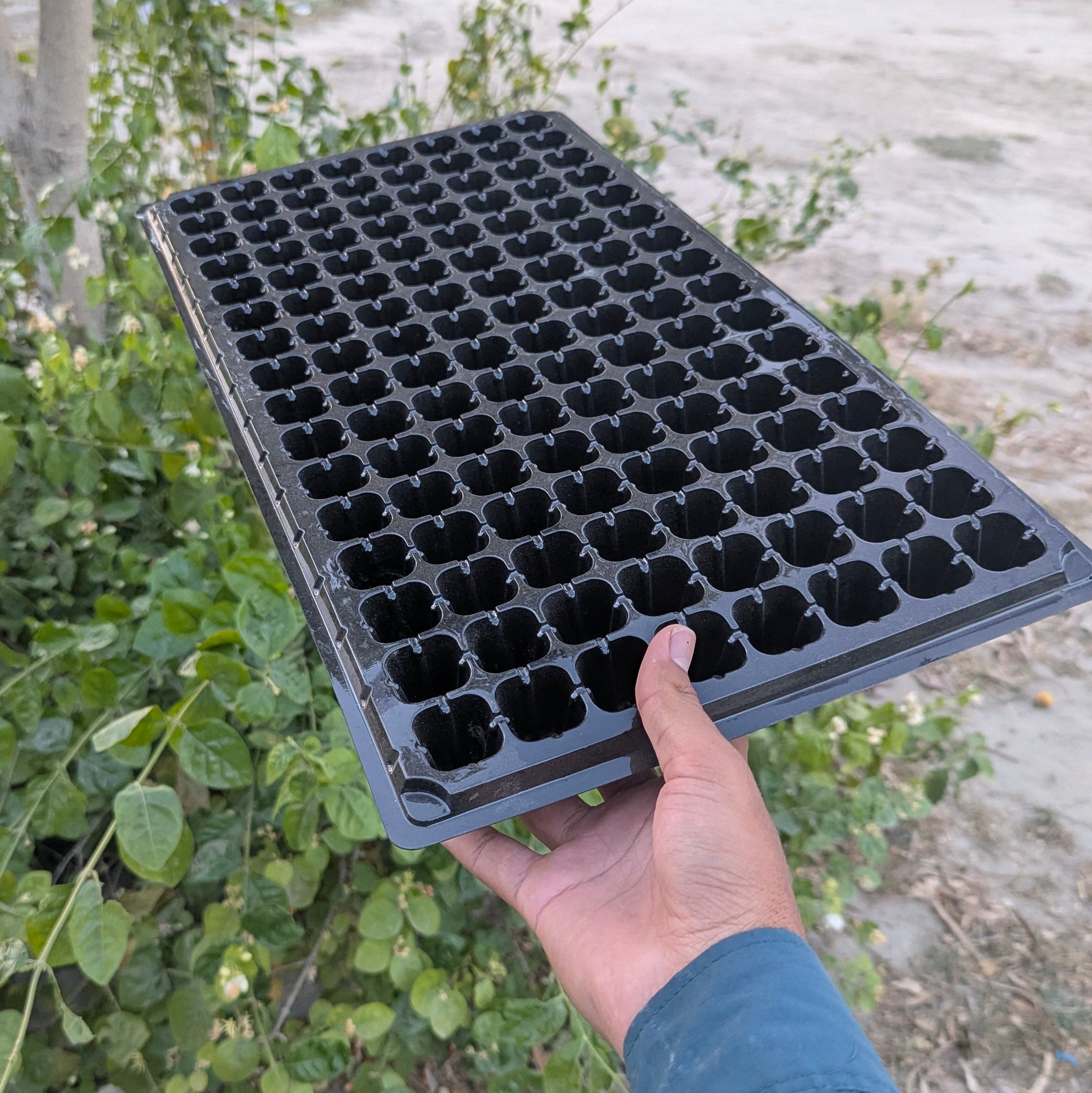 128 Holes Seedling Trays Set of 4 |